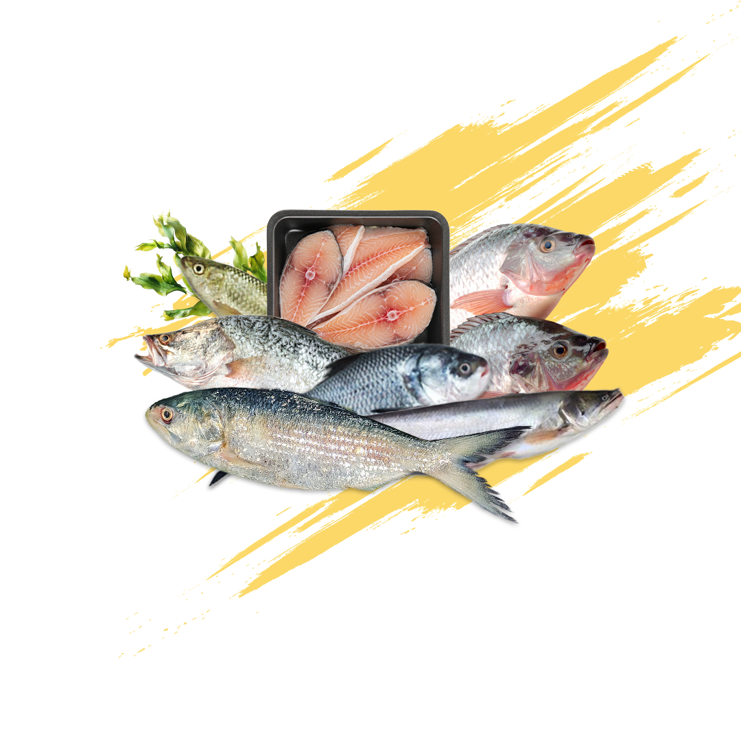 Frozen Fish